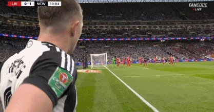 11.gif