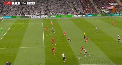 13.gif